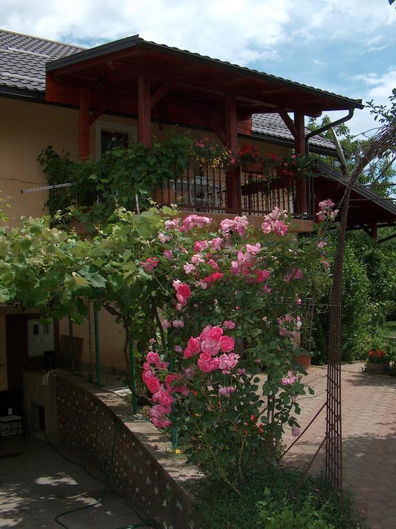 Apartments Ana Smoljanac Luaran gambar